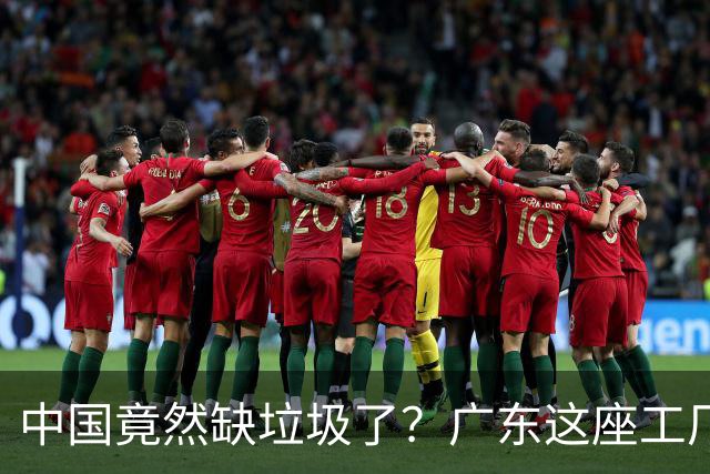 中国竟然缺垃圾了？广东这座工厂一天吃 9300 吨，一年发电 12 亿度！