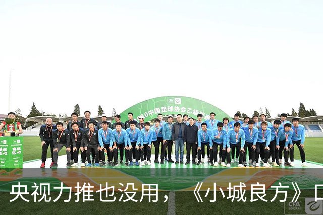 央视力推也没用，《小城良方》口碑反转，观众纷纷要求下架，为何