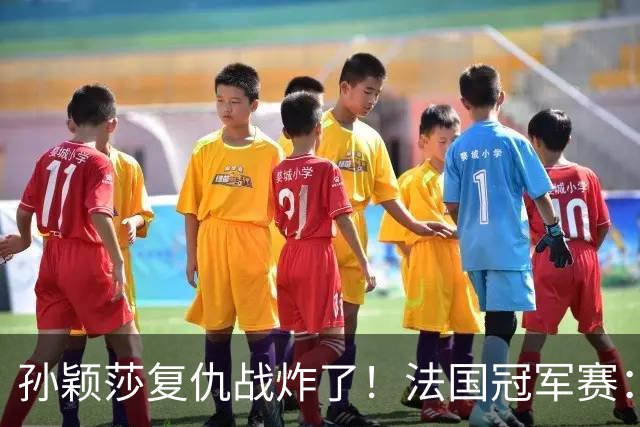 孙颖莎复仇战炸了！法国冠军赛：林诗栋带伤连战，王楚钦复出，20天能救回状态吗