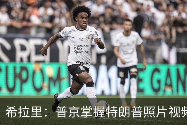 希拉里：普京掌握特朗普照片视频，指责特朗普是傀儡