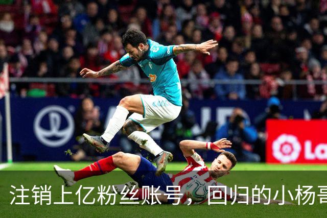 注销上亿粉丝账号，回归的小杨哥目标早已不在国内
