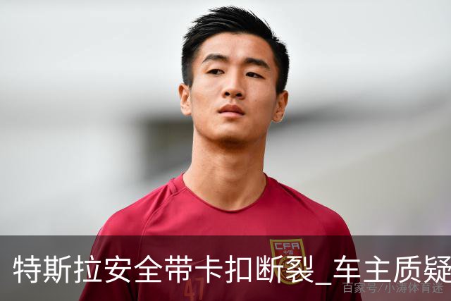 特斯拉安全带卡扣断裂 车主质疑质量缺陷