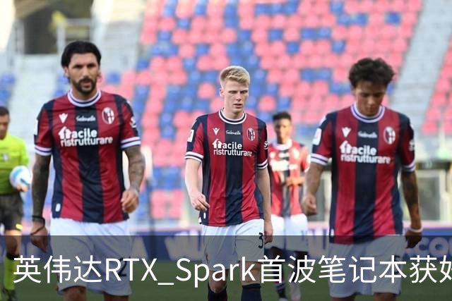 英伟达RTX Spark首波笔记本获好评，但续航成了问号