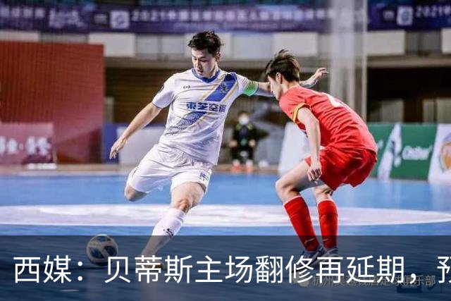 西媒：贝蒂斯主场翻修再延期，预计2029/30赛季才能回归