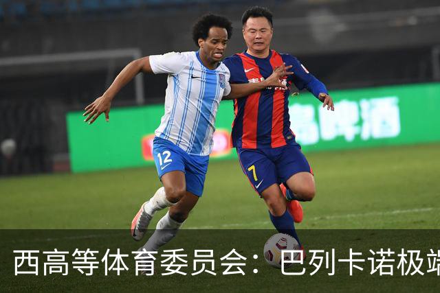 西高等体育委员会：巴列卡诺极端球迷被建议罚款+禁止入球场