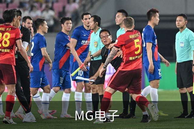 MG电子 公司简介